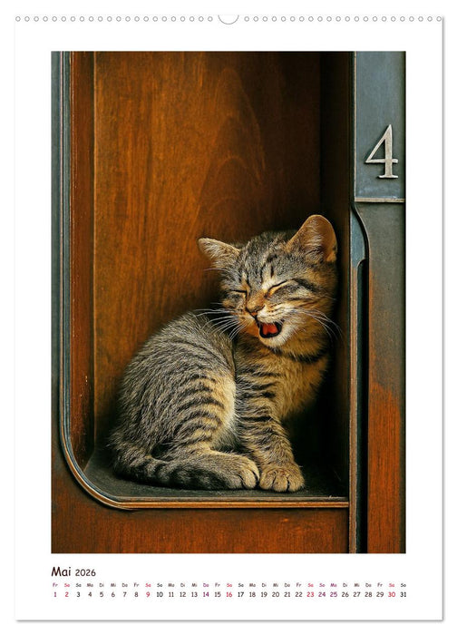 Wer fährt denn da? Ein tierisches Paternoster Vergnügen (CALVENDO Premium Wandkalender 2026)