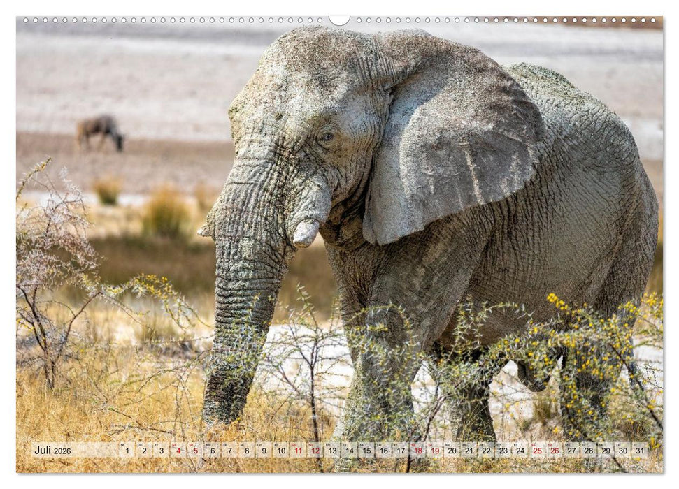 Namibia - Simbabwe - Botswana Leben zwischen Wüste und Wildnis (CALVENDO Premium Wandkalender 2026)