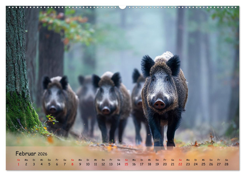 Jagd und Natur - Kalender für Jäger mit Wildtieren Deutschlands im Jahreslauf (CALVENDO Premium Wandkalender 2026)