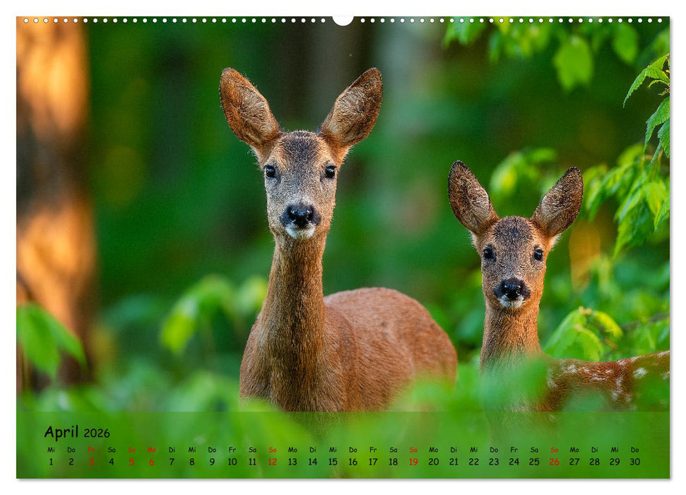Jagd und Natur - Kalender für Jäger mit Wildtieren Deutschlands im Jahreslauf (CALVENDO Premium Wandkalender 2026)