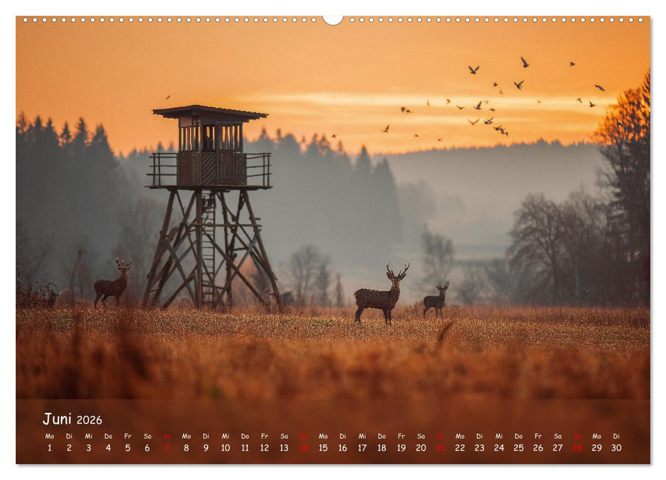 Jagd und Natur - Kalender für Jäger mit Wildtieren Deutschlands im Jahreslauf (CALVENDO Premium Wandkalender 2026)