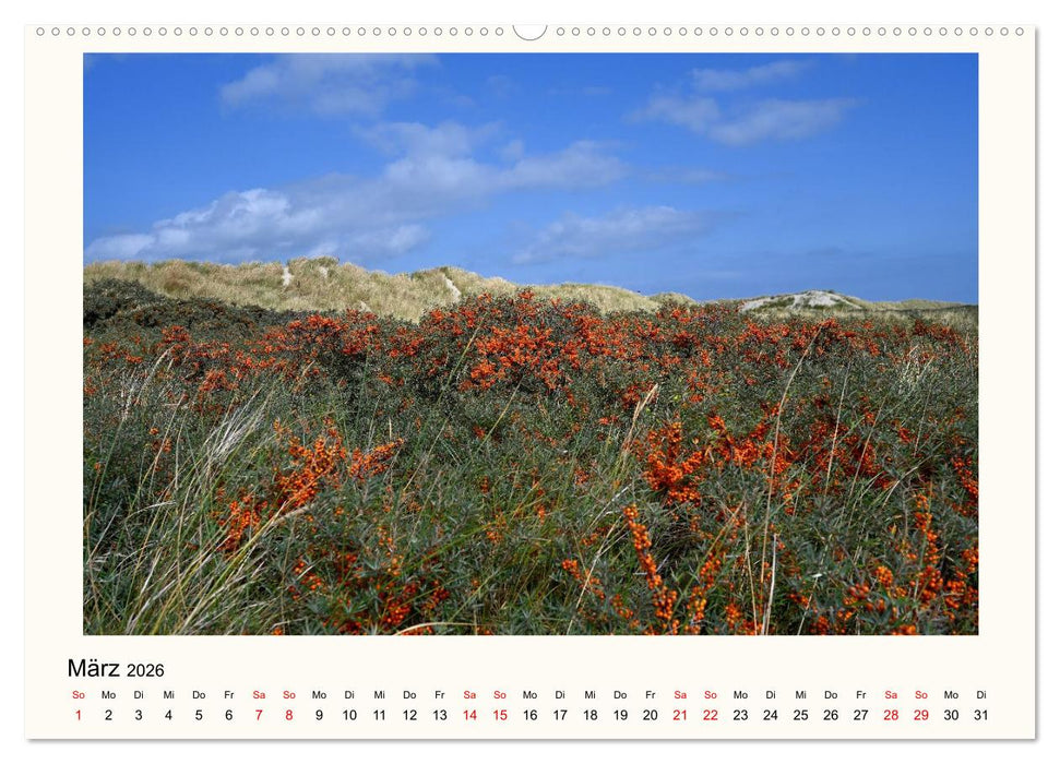 Borkum - Ruhig inmitten der Wogen (CALVENDO Premium Wandkalender 2026)