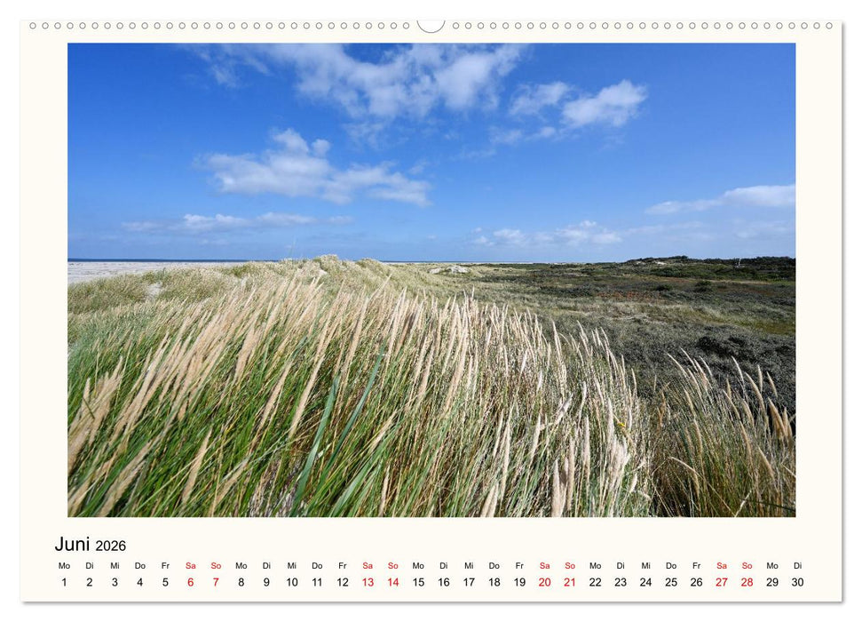 Borkum - Ruhig inmitten der Wogen (CALVENDO Premium Wandkalender 2026)