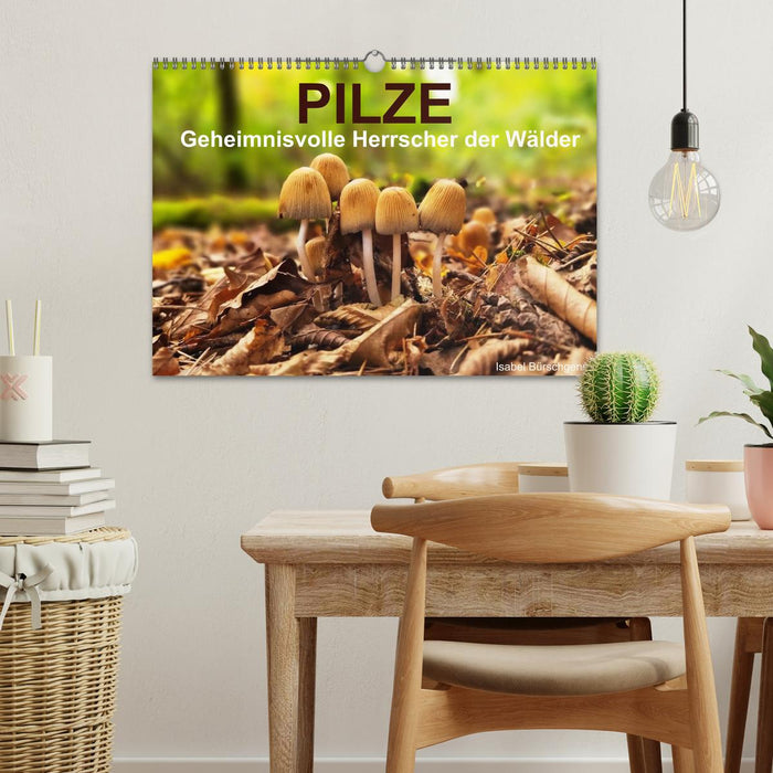 Pilze - Geheimnisvolle Herrscher der Wälder (CALVENDO Wandkalender 2026)