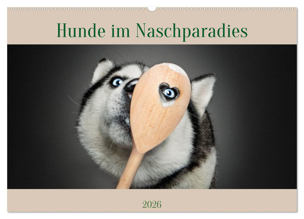 Hunde im Naschparadies (CALVENDO Wandkalender 2026)