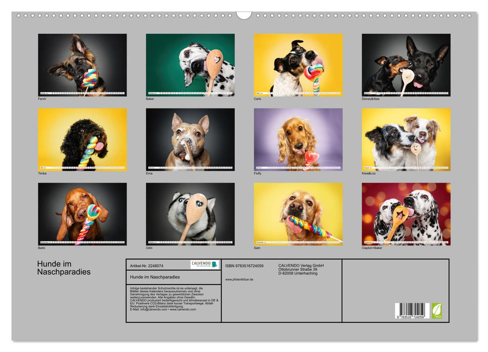 Hunde im Naschparadies (CALVENDO Wandkalender 2026)