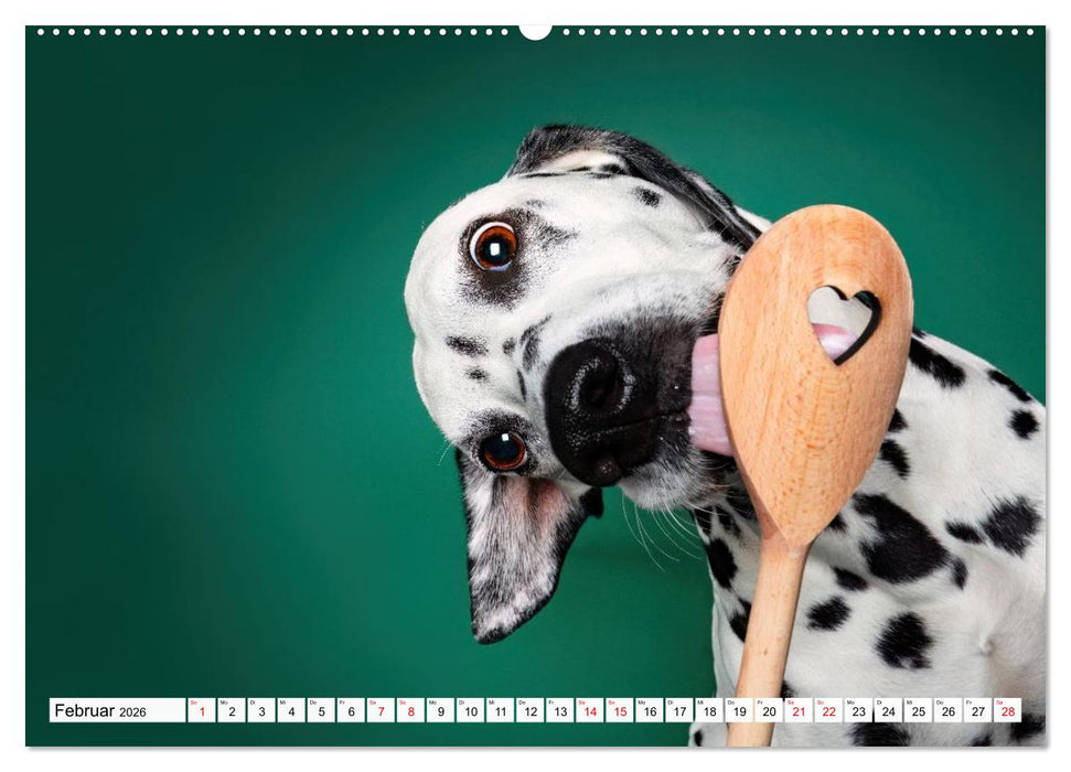 Hunde im Naschparadies (CALVENDO Premium Wandkalender 2026)
