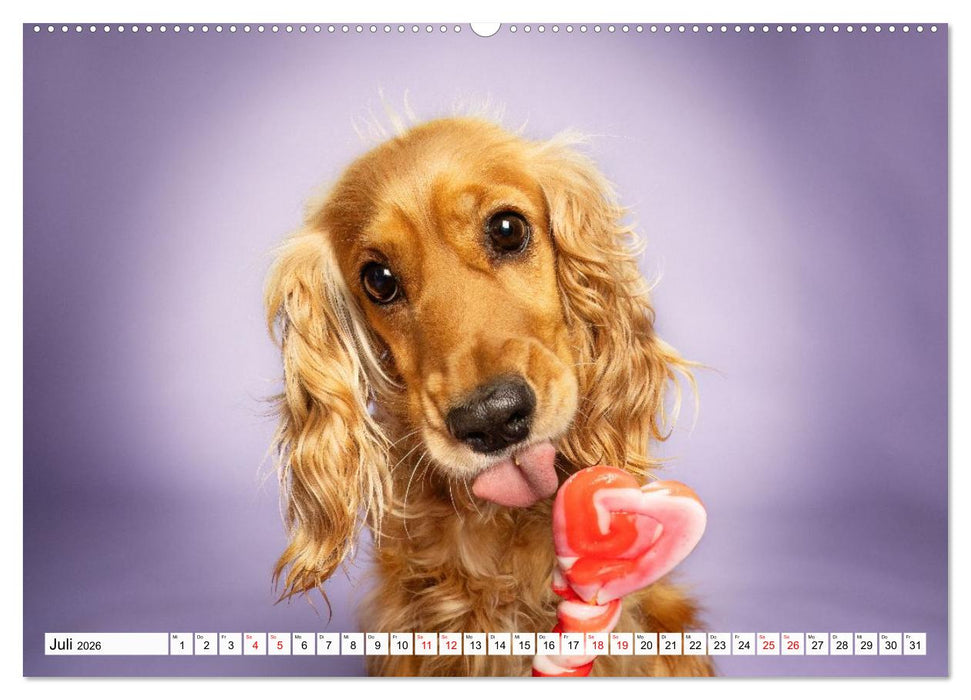 Hunde im Naschparadies (CALVENDO Premium Wandkalender 2026)