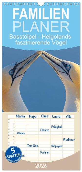 Basstölpel - Helgolands faszinierende Vögel (CALVENDO Familienplaner 2026)