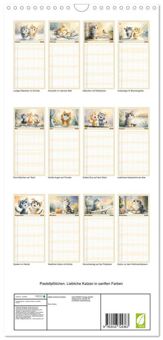Pastellpfötchen. Liebliche Katzen in sanften Farben (CALVENDO Familienplaner 2026)