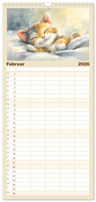 Pastellpfötchen. Liebliche Katzen in sanften Farben (CALVENDO Familienplaner 2026)
