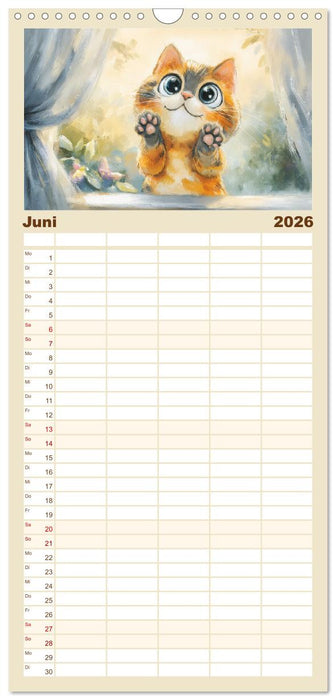 Pastellpfötchen. Liebliche Katzen in sanften Farben (CALVENDO Familienplaner 2026)