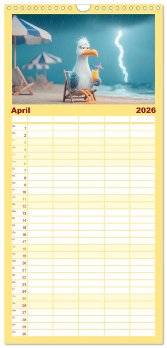 Möwen on Tour (CALVENDO Familienplaner 2026)