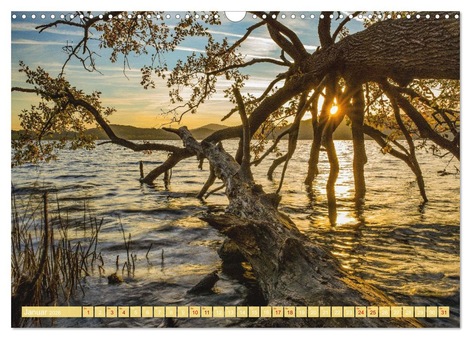 Herzlich Mayen und Umland (CALVENDO Wandkalender 2026)