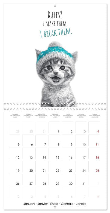 Purrfectly Cool Cats (CALVENDO Monthly Calendar 2026)
