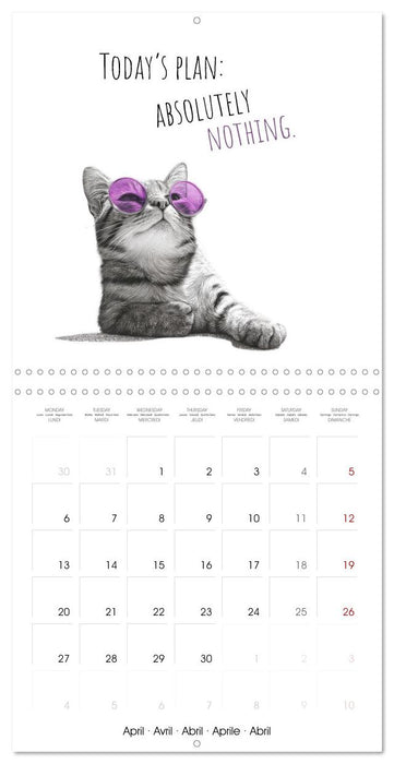 Purrfectly Cool Cats (CALVENDO Monthly Calendar 2026)