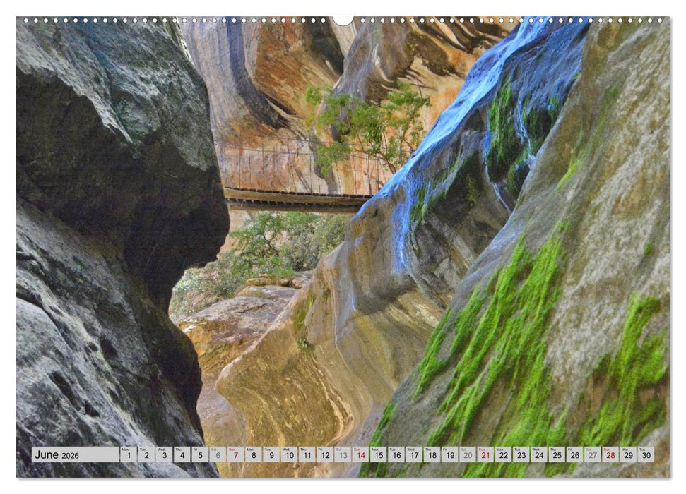 Impressions of South African National Parks (CALVENDO Monthly Calendar 2026)