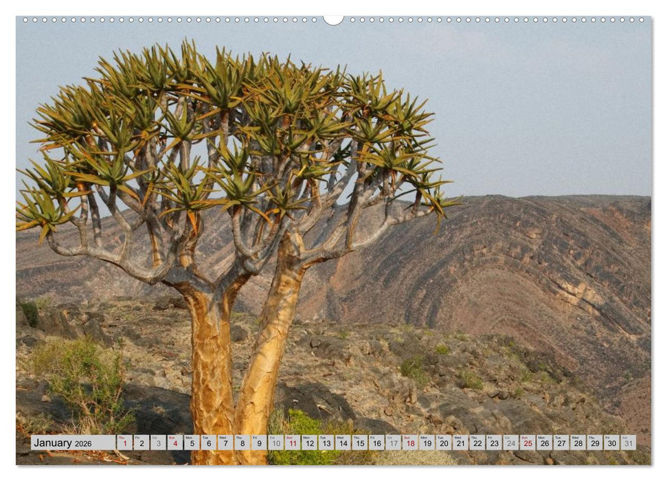 Impressions of South African National Parks (CALVENDO Premium-Calendar 2026)