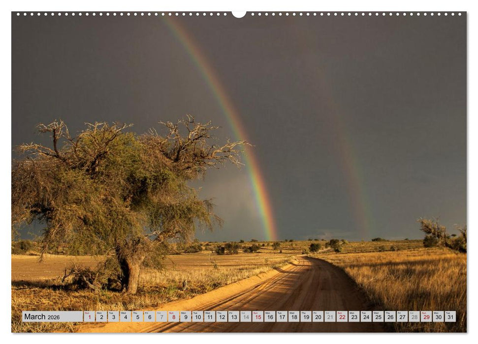 Impressions of South African National Parks (CALVENDO Premium-Calendar 2026)