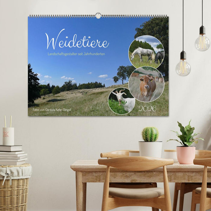 Weidetiere - Landschaftsgestalter seit Jahrhunderten (CALVENDO Wandkalender 2026)