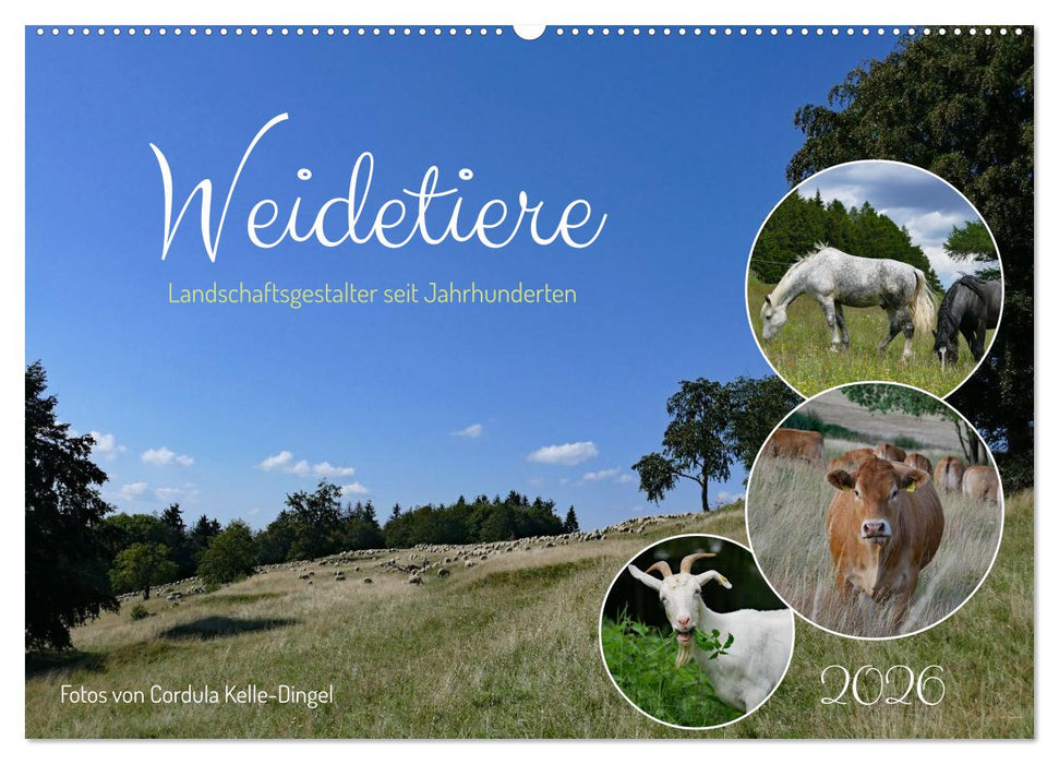 Weidetiere - Landschaftsgestalter seit Jahrhunderten (CALVENDO Wandkalender 2026)
