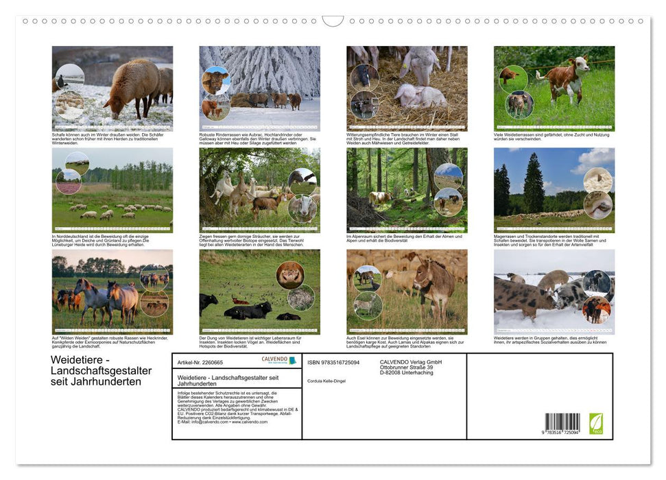 Weidetiere - Landschaftsgestalter seit Jahrhunderten (CALVENDO Wandkalender 2026)