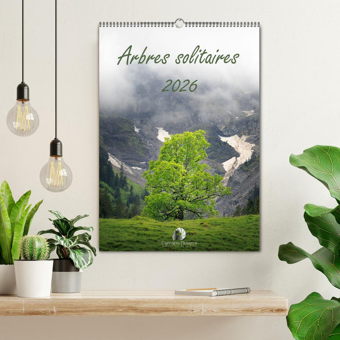 Arbres solitaires (CALVENDO Calendrier mensuel 2026)
