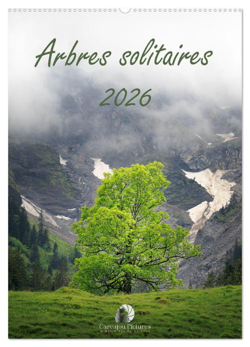 Arbres solitaires (CALVENDO Calendrier mensuel 2026)
