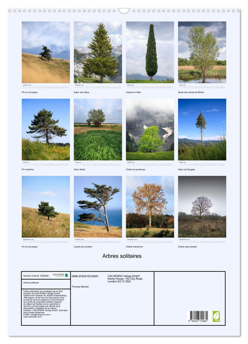 Arbres solitaires (CALVENDO Calendrier mensuel 2026)