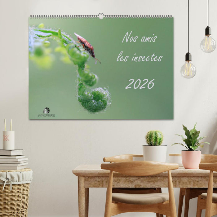 Nos amis les insectes (CALVENDO Calendrier mensuel 2026)