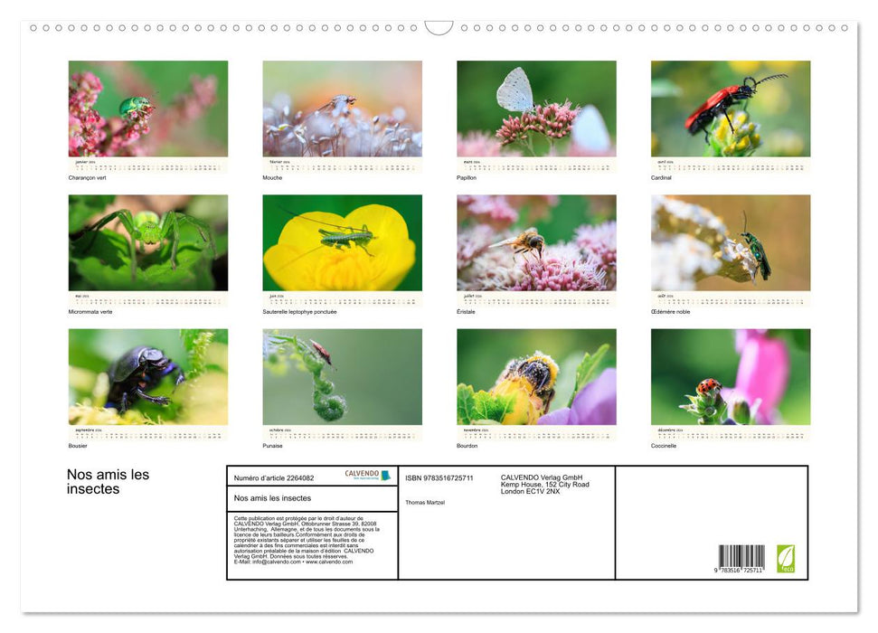 Nos amis les insectes (CALVENDO Calendrier mensuel 2026)