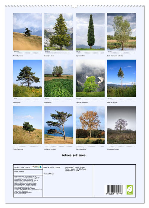 Arbres solitaires (CALVENDO Calendrier supérieur 2026)