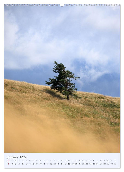 Arbres solitaires (CALVENDO Calendrier supérieur 2026)