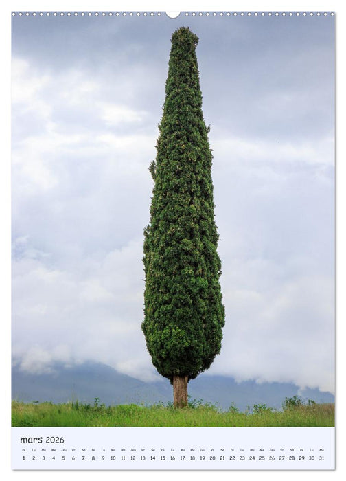 Arbres solitaires (CALVENDO Calendrier supérieur 2026)