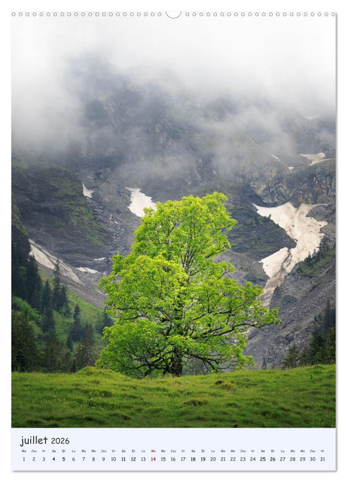 Arbres solitaires (CALVENDO Calendrier supérieur 2026)