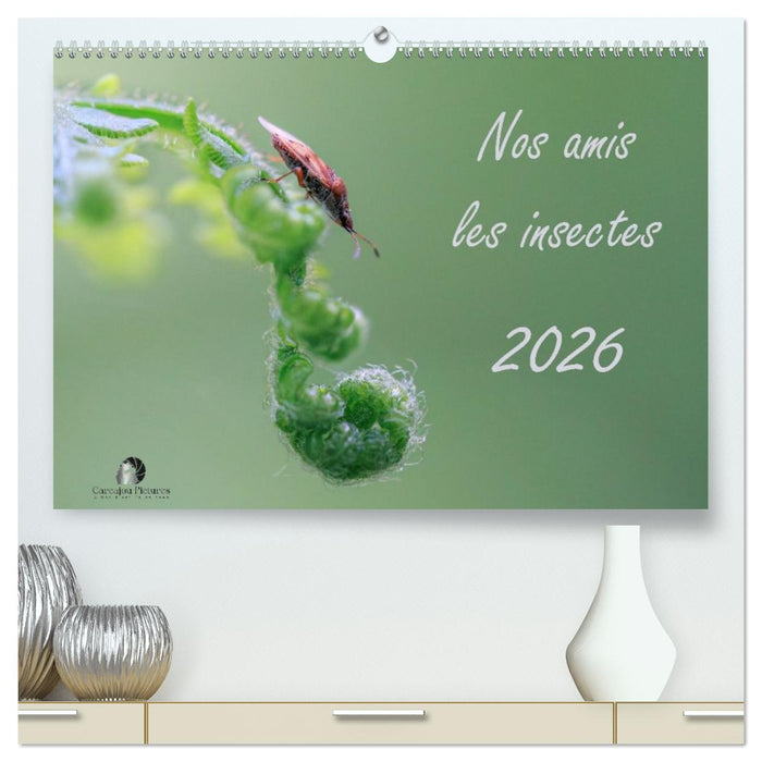 Nos amis les insectes (CALVENDO Calendrier supérieur 2026)