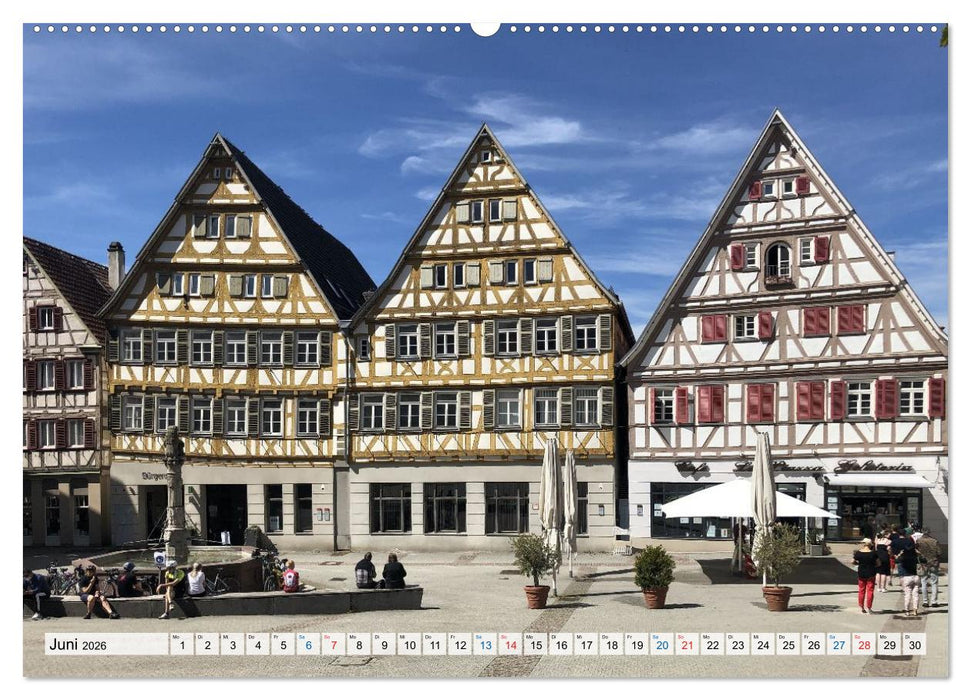 Rund um Tübingen und Schönbuch (CALVENDO Wandkalender 2026)