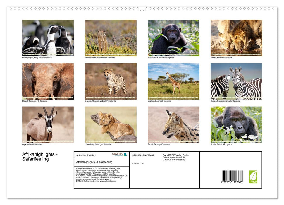 Afrikahighlights - Safarifeeling (CALVENDO Premium Wandkalender 2026)
