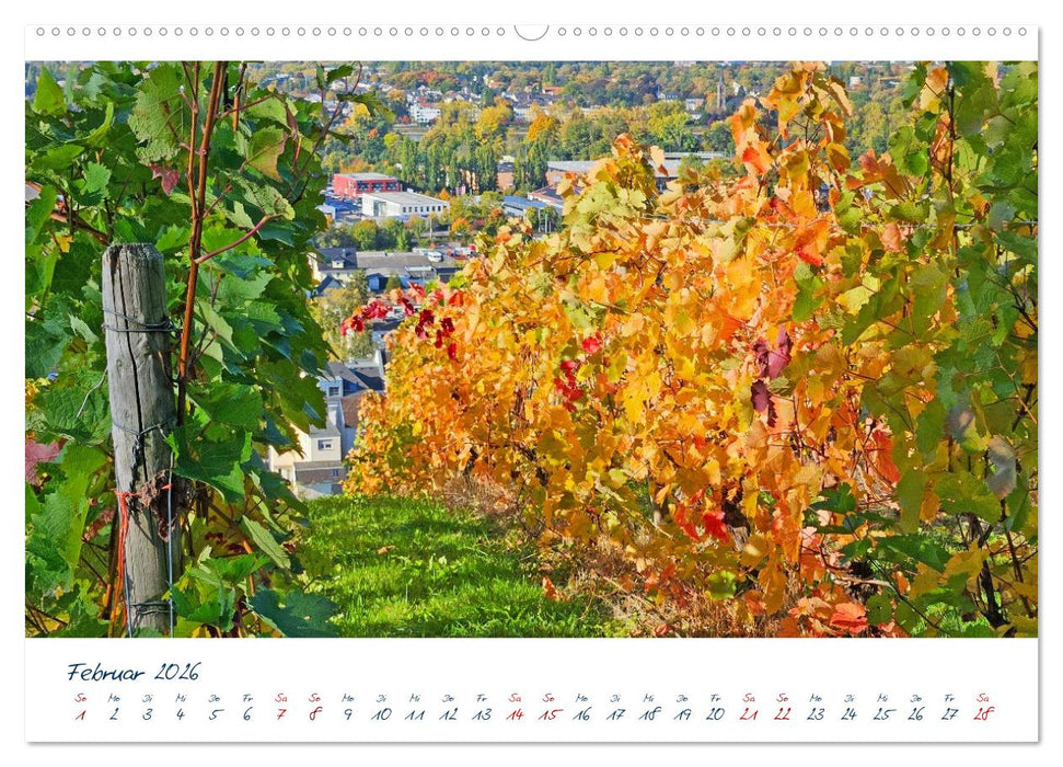 Königswinter-Oberdollendorf – Traum-Trip durch farbenprächtige Weinberge (CALVENDO Wandkalender 2026)