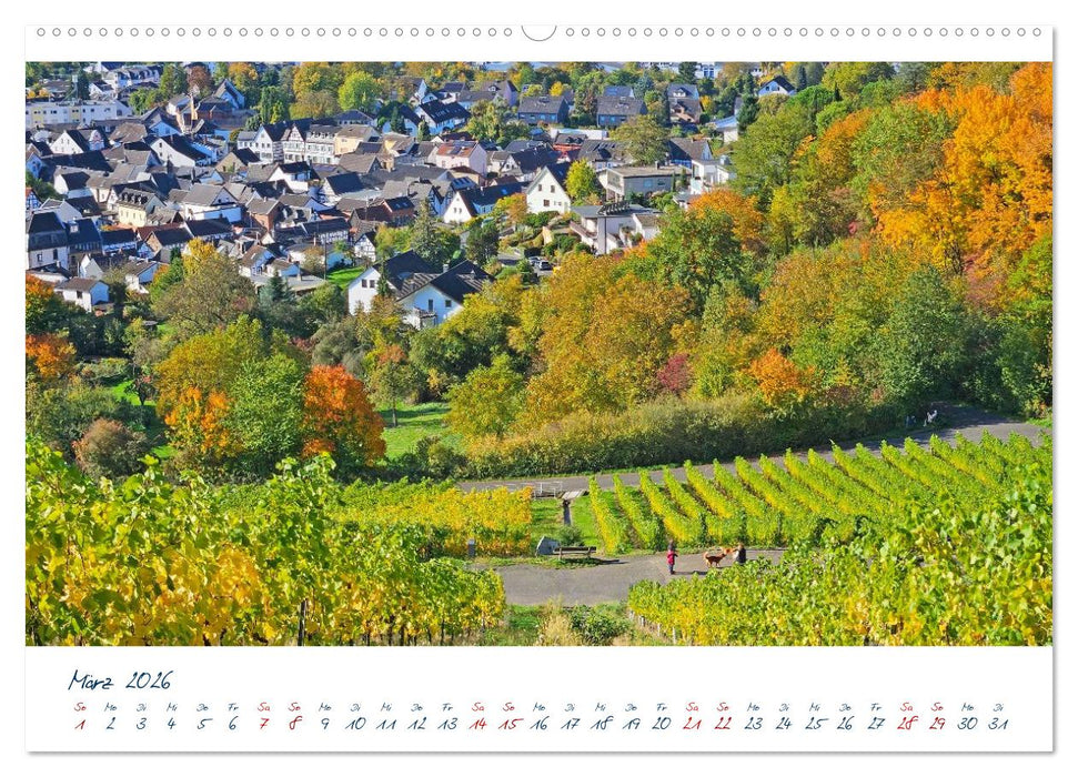 Königswinter-Oberdollendorf – Traum-Trip durch farbenprächtige Weinberge (CALVENDO Premium Wandkalender 2026)