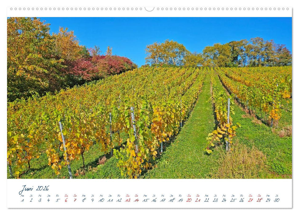 Königswinter-Oberdollendorf – Traum-Trip durch farbenprächtige Weinberge (CALVENDO Premium Wandkalender 2026)