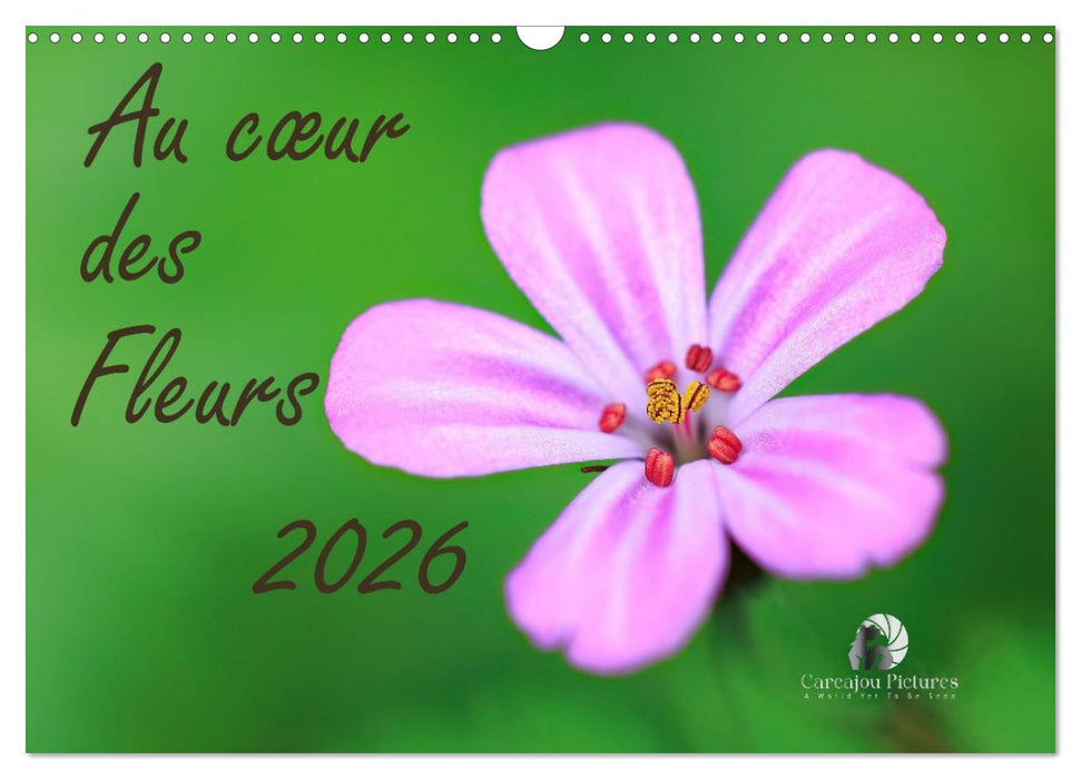 Au cœur des fleurs (CALVENDO Calendrier mensuel 2026)