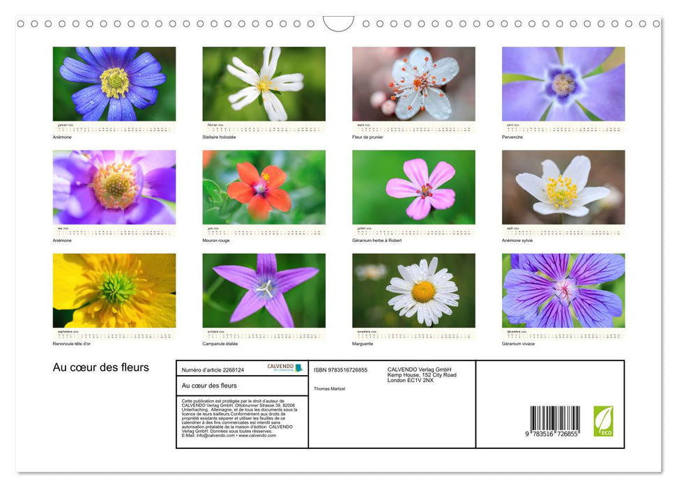 Au cœur des fleurs (CALVENDO Calendrier mensuel 2026)