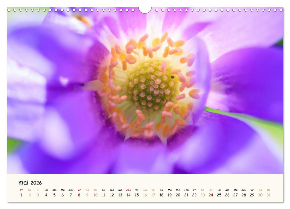 Au cœur des fleurs (CALVENDO Calendrier mensuel 2026)