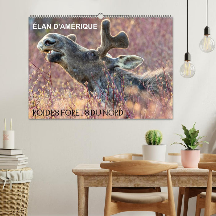 ÉLAN D'AMÉRIQUE - ROI DES FORÊTS DU NORD (CALVENDO Calendrier mensuel 2026)