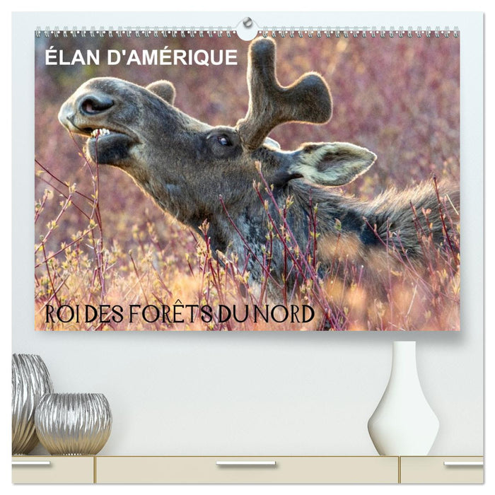 ÉLAN D'AMÉRIQUE - ROI DES FORÊTS DU NORD (CALVENDO Calendrier supérieur 2026)