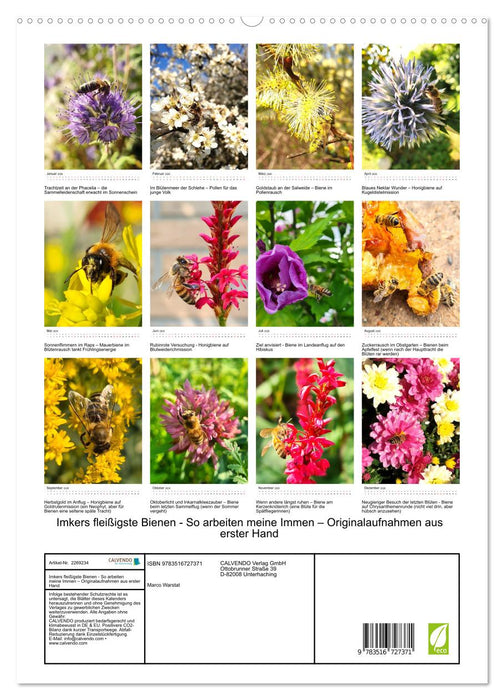 Imkers fleißigste Bienen - So arbeiten meine Immen – Originalaufnahmen aus erster Hand (CALVENDO Premium Wandkalender 2026)