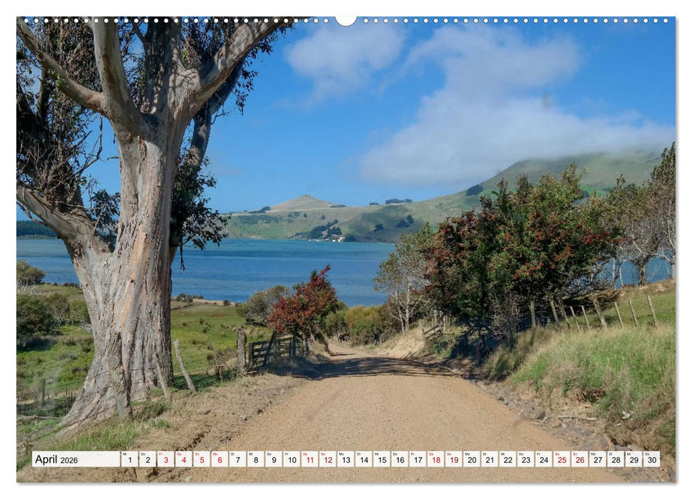 Sehnsuchtsziel Neuseeland (CALVENDO Wandkalender 2026)