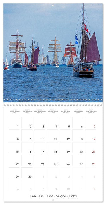 Hanseatic League - Places in northern Germany (CALVENDO Monthly Calendar 2026)