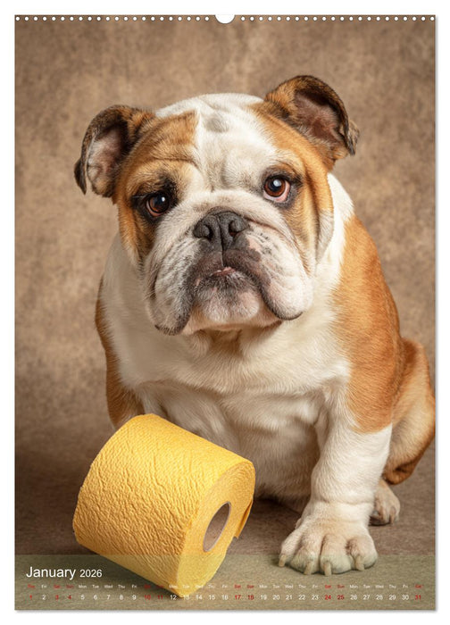 Funny Bathroom Moments – Animals with Style and Bubbles (CALVENDO Premium-Calendar 2026)